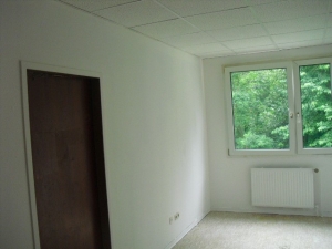 Desinfizierung-Renovierung (11).JPG